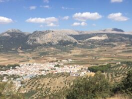Tag der Kirsche Alfarnate 2026