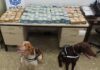 Bargeld Spanien