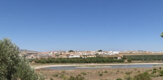 Wohnungskauf Provinz Málaga