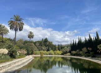 Historisch Botanischer Garten Málaga La Concepción