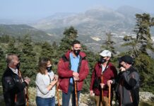 Sanchez Sierra de las Nieves