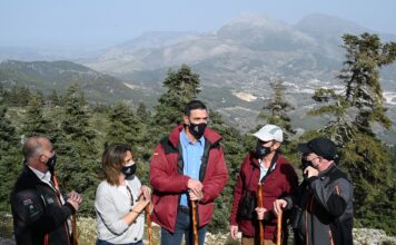 Sanchez Sierra de las Nieves