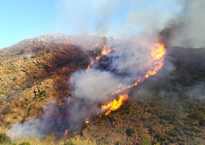 Brände in der Provinz Málaga