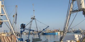 Streik der Fischer in Málaga