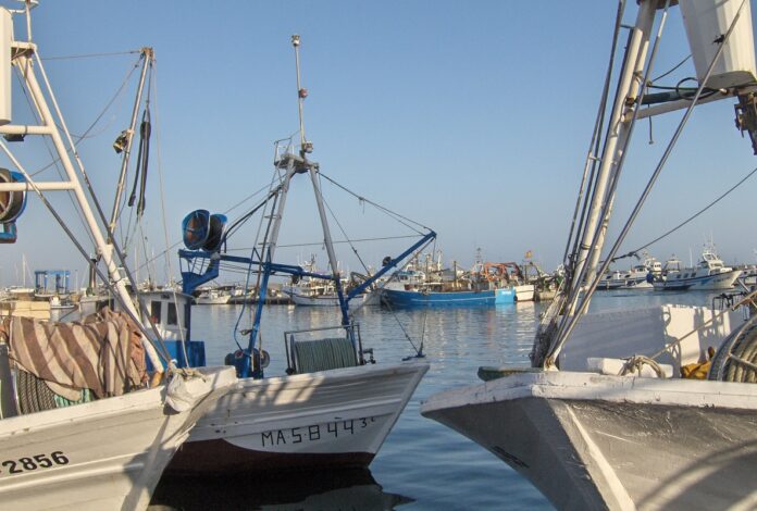 Streik der Fischer in Málaga