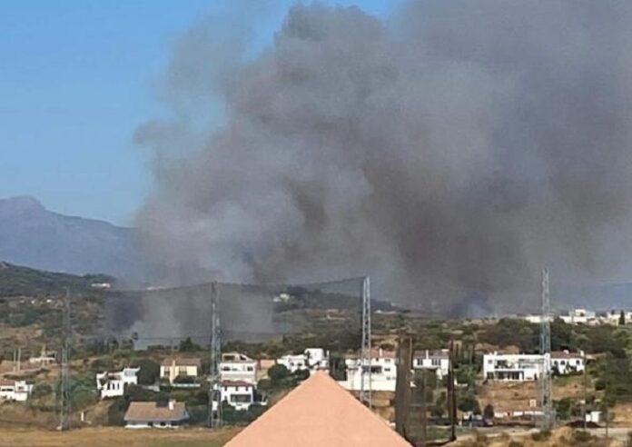 Waldbrand in Estepona