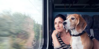 Reisen mit Hund in Spanien