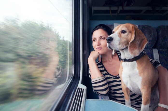 Reisen mit Hund in Spanien