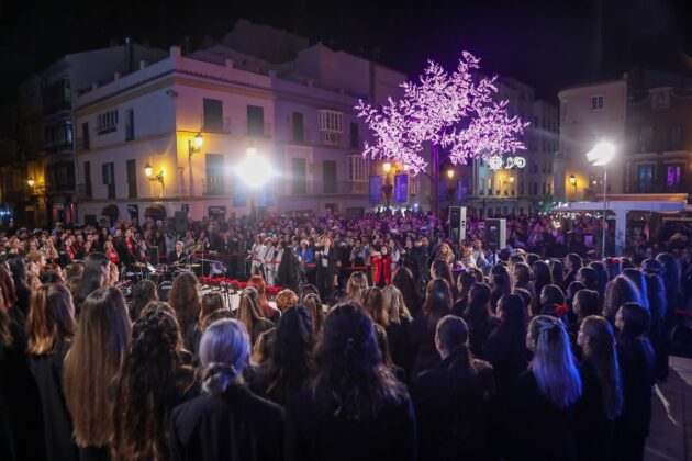 Fotos Weihnachtsbeleuchtung in Málaga