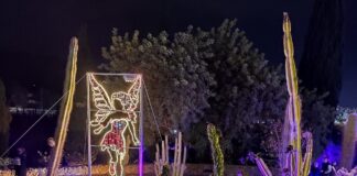 Lichtershow im botanischen Garten Málaga