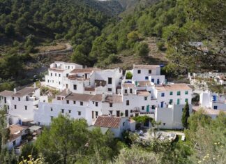 El Acebuchal