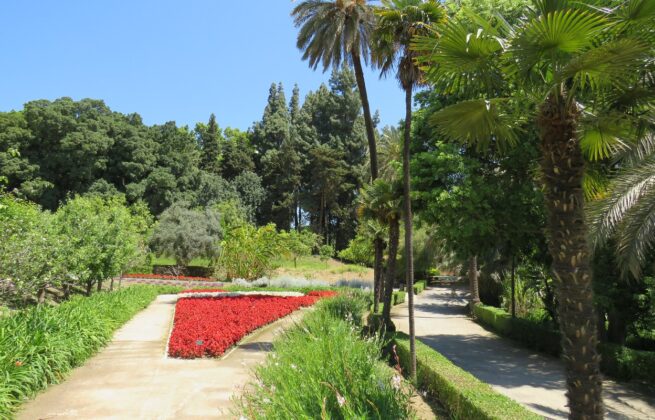 Botanischer Garten in Málaga