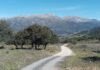 Cortés de la Frontera in Andalusien