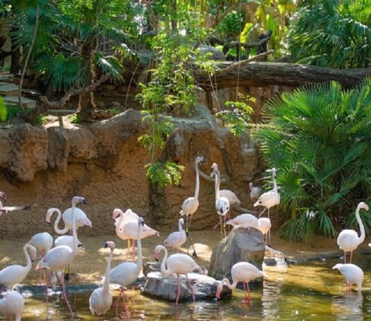 Bioparc in Fuengirola