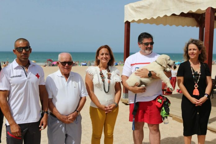 Hund als Rettungshelfer in Cádiz