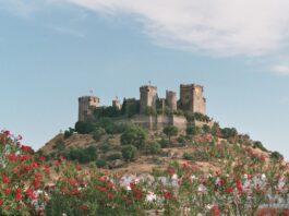 Filme in Andalusien