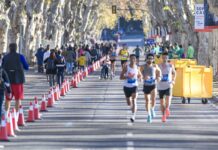 Málaga Marathon 2024