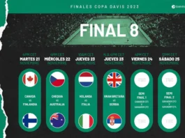 Novak Djokovic beim Davis Cup Finale in Málaga