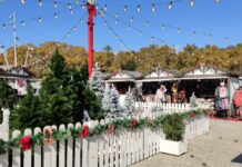 Weihnachtsmarkt Málaga