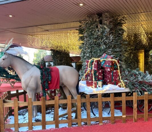 Weihnachtsmärkte an der Costa del Sol