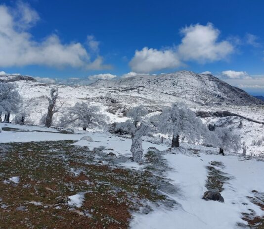 Schneefall in Málaga