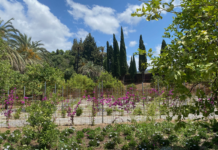  Botanischer Garten Málaga