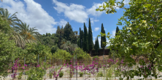  Botanischer Garten Málaga