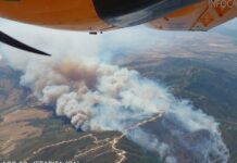 Waldbrand in Tarifa