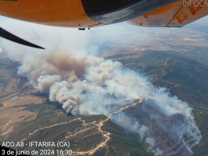 Waldbrand in Tarifa
