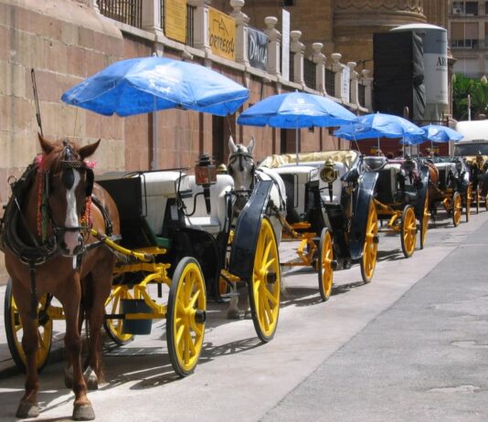 Pferdekutschen in Málaga