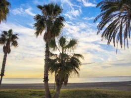 Ausländische Rentner in Málaga