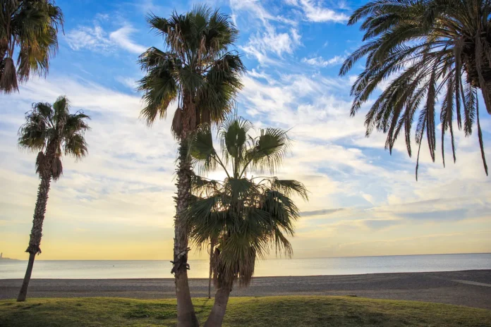 Ausländische Rentner in Málaga