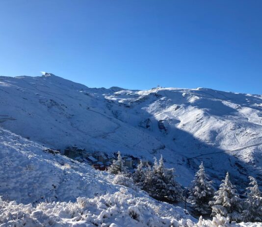 Schnee in der Sierra Nevada