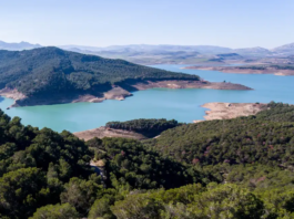 Wasserreserven an der Costa del Sol aktuell