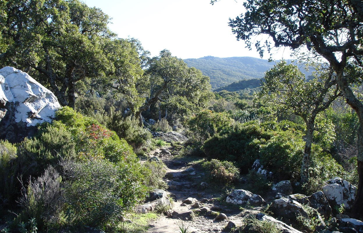 Herbstwanderungen in Andalusien