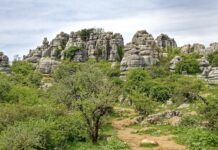 Herbstwanderungen in Andalusien