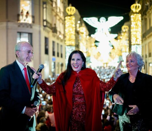 Weihnachtsbeleuchtung in Málaga 2024