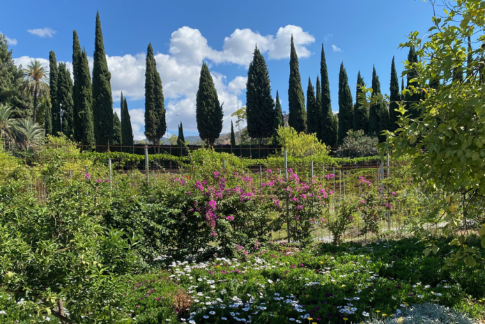 Labyrinth im botanischen Garten Málaga