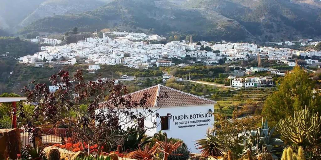 Winterblüte in Andalusien