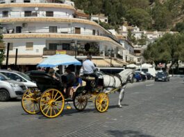 aktuelle Regeln für Esel-Taxis in Mijas