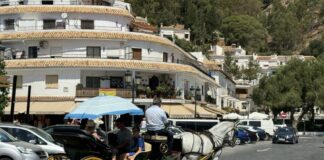 aktuelle Regeln für Esel-Taxis in Mijas