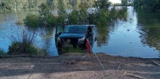 Minibus versinkt im Lago de las Tortugas in Marbella