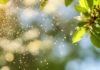 Allergie App Spanien