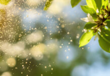 Allergie App Spanien
