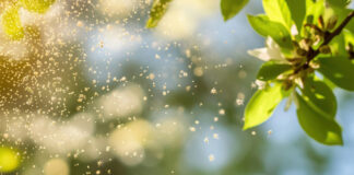 Allergie App Spanien