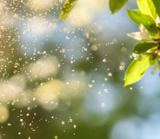 Allergie App Spanien