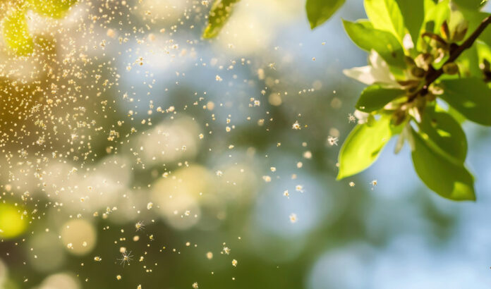 Allergie App Spanien Allergie App Spanien