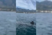 Hai Marbella