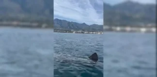 Hai Marbella