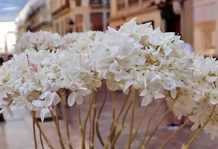 Souvenirs aus Málaga